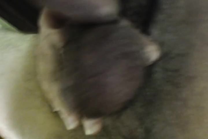 4adf465c25da2cd3f46803203c193910